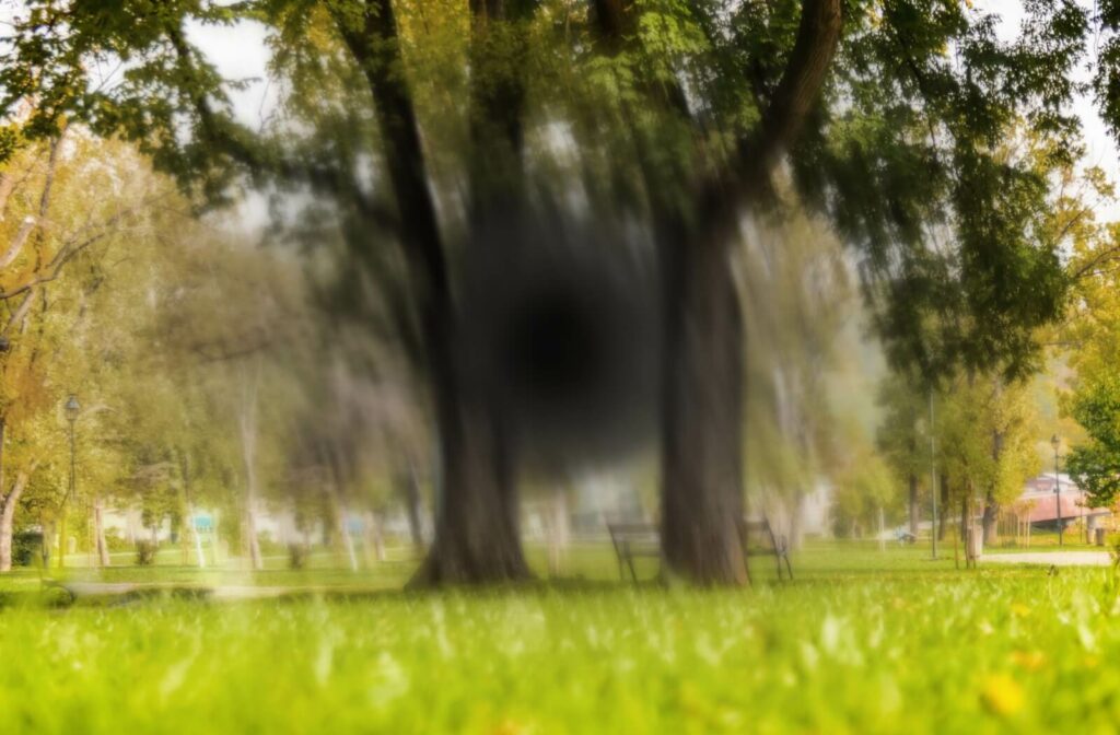 What a person with AMD sees. A park with trees where the centre is blurred and dark.